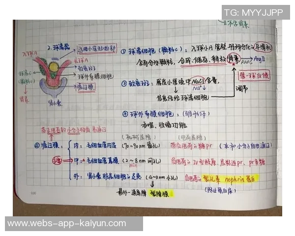 探索vS206的未来科技潜力与应用前景分析 探索vS206的未来科技潜力与应用前景分析